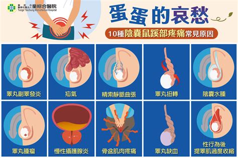 睪丸有痣|陰囊長痣：就診科室與皮膚問題辨識